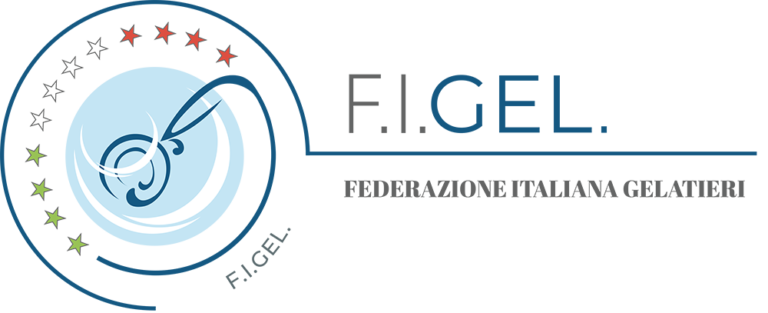 Figel Logo 768x313